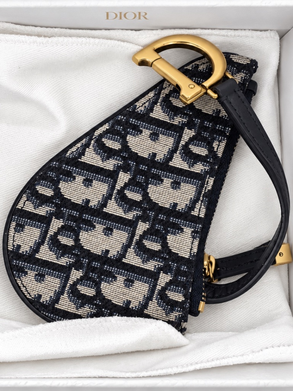 Dior Saddle Coin Pouch (New)